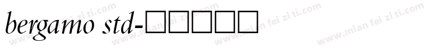 bergamo std字体转换